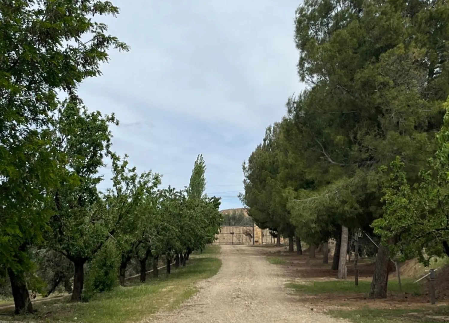 Cortijo Don Meliton Villa Guadix 0*,  Spain